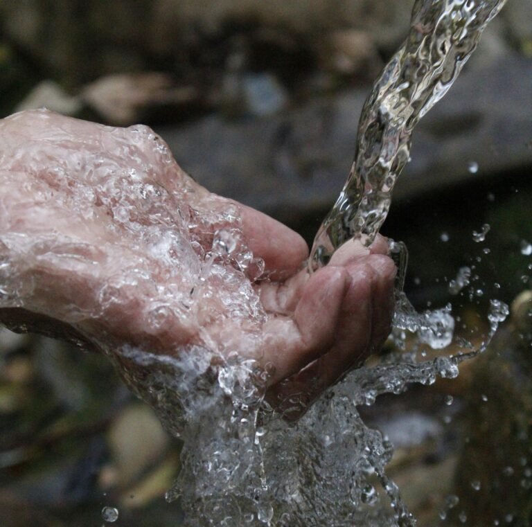 The Art of Finding and Purifying Water in a Survival Situation